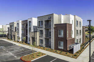 Terracina at Whitney Ranch Apartments