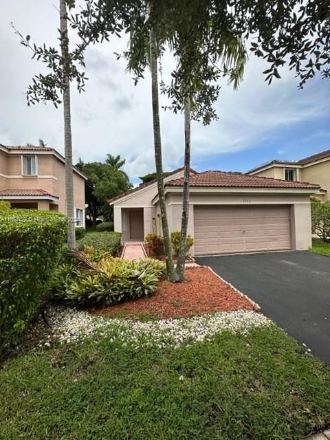 1253 Majesty Terrace in Weston, FL - Building Photo - Building Photo