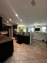 17338 Old Tobacco Rd in Lutz, FL - Building Photo - Building Photo