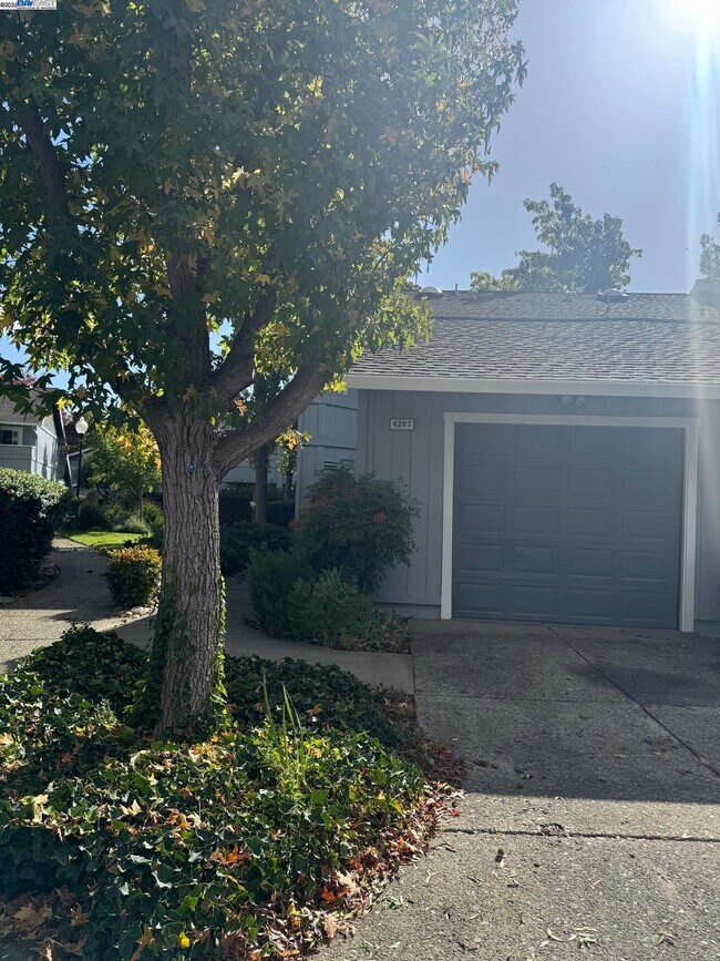 4207 Sheldon Cir in Pleasanton, CA - Building Photo - Building Photo