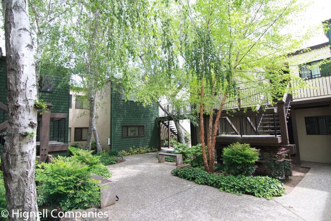property at 555 Vallombrosa Ave