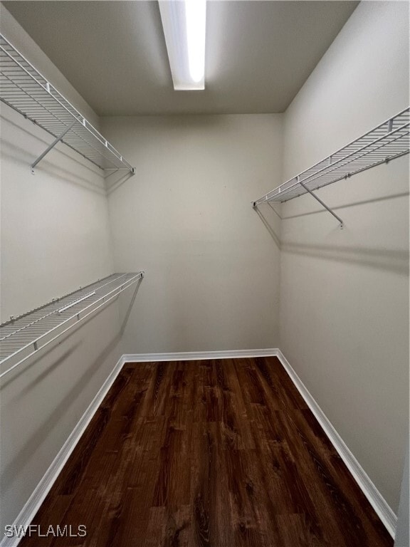 property at 28482 Villagewalk Blvd