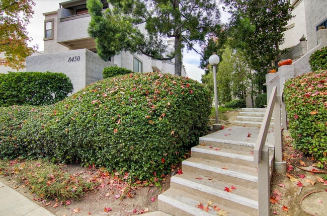 8450 Via Sonoma in San Diego, CA - Building Photo - Building Photo