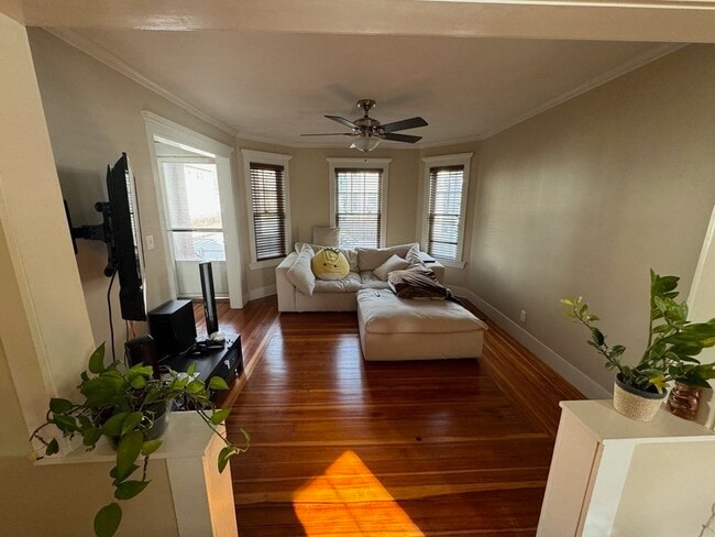 property at 40 Sydney St