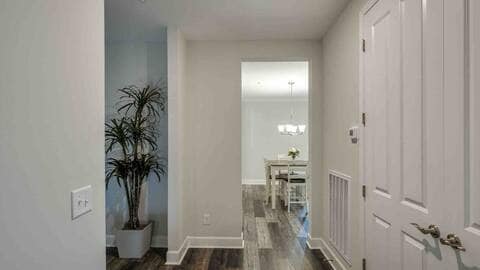 405 Ronan Way in Spring Hill, TN - Building Photo - Building Photo