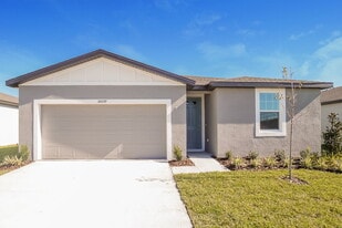 38899 Harlow Rose Dr in Zephyrhills, FL - Building Photo