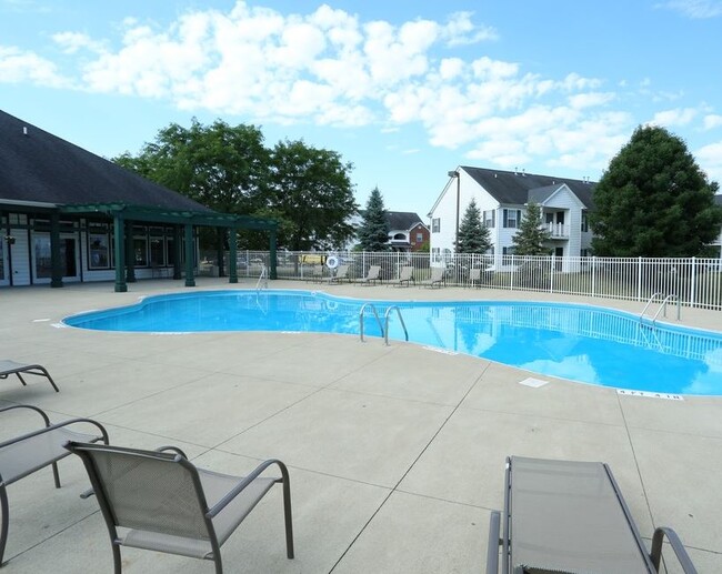 The Cove