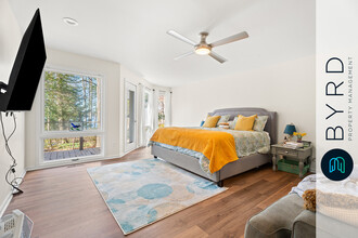13616 Northwich Terrace in Midlothian, VA - Building Photo - Building Photo