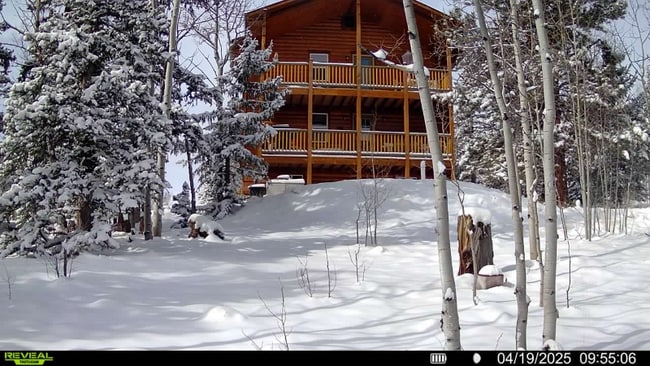 609 Buffalo Ridge Rd in Jefferson, CO - Building Photo - Building Photo