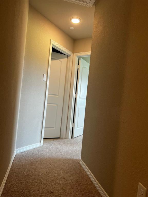 property at 8055 Scanlan Trce