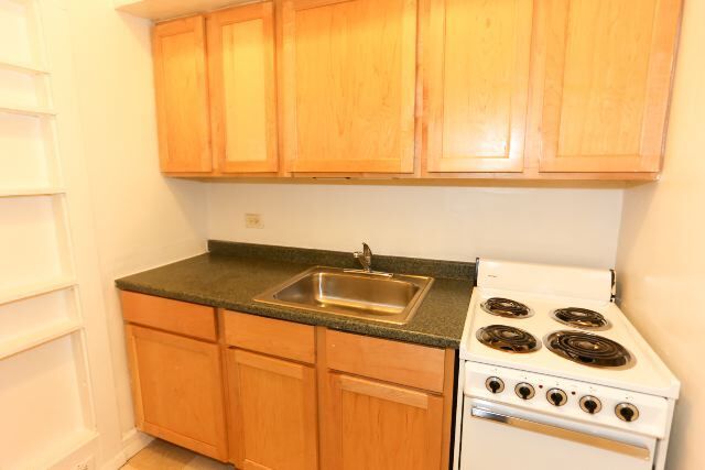 541 W Arlington Pl in Chicago, IL - Foto de edificio - Building Photo