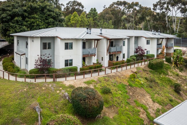 Pacific Pines