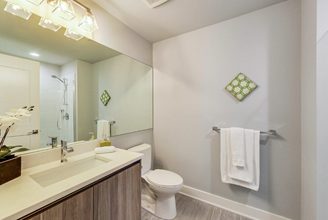 1168 N Wells St-Unit -808 in Chicago, IL - Building Photo - Building Photo
