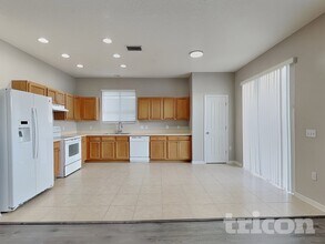 19706 Timberbluff Dr in Land O Lakes, FL - Building Photo - Building Photo