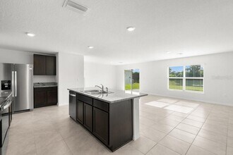 11918 Downy Birch Dr in Riverview, FL - Building Photo - Building Photo