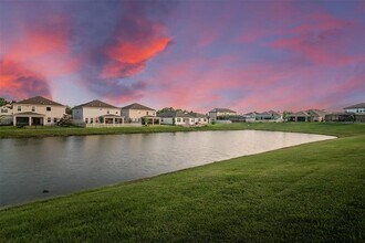 30950 Parrot Reef Ct in Wesley Chapel, FL - Building Photo - Building Photo