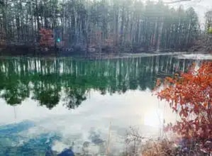 724 Monmouth Rd in Cream Ridge, NJ - Foto de edificio - Building Photo