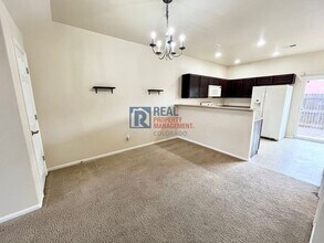 2575 Shannara Grove in Colorado Springs, CO - Building Photo - Building Photo