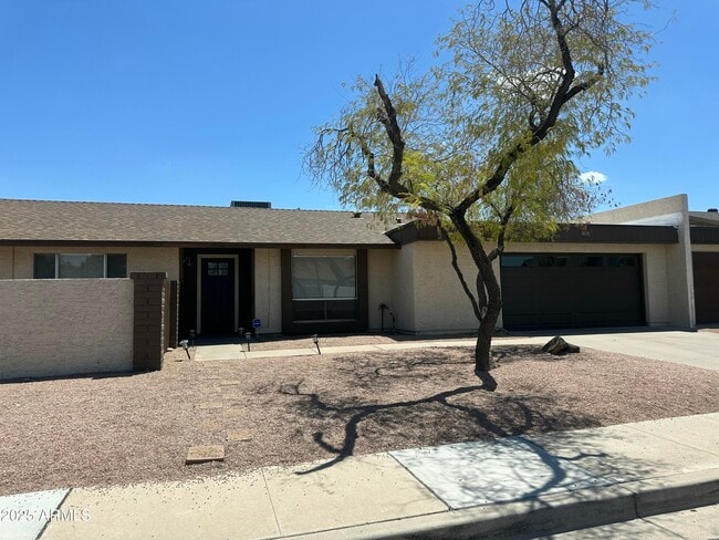 8691 E Latham St in Scottsdale, AZ - Building Photo - Building Photo