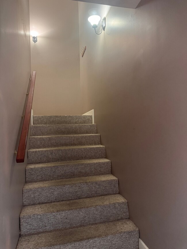 507 S Cannon Blvd, Unit P in Shelbyville, TN - Building Photo - Building Photo