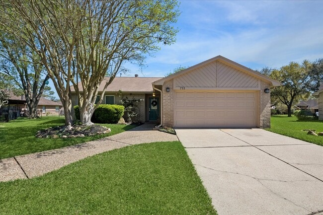 711 Flower Field Ct in Pearland, TX - Foto de edificio - Building Photo