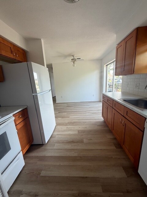 3041 Park Ln, Unit A in Dunedin, FL - Building Photo - Building Photo