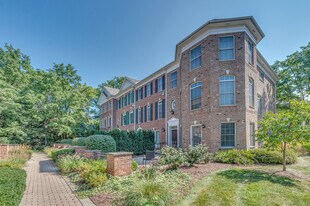 243 Boxcar Ave in Naperville, IL - Building Photo