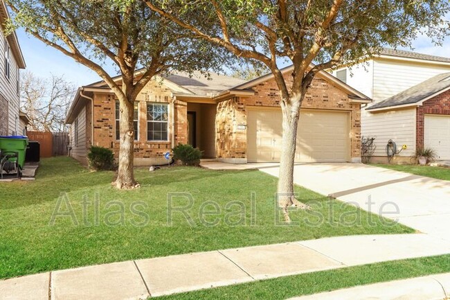 10867 Rustic Cedar photo'