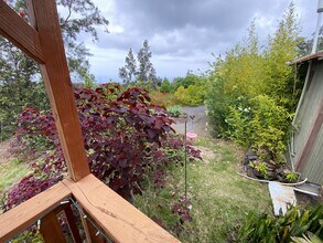 92-1415 Luau Dr in Ocean View, HI - Building Photo - Building Photo
