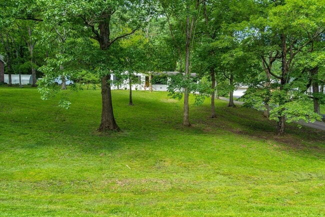 703 Clematis Dr in Nashville, TN - Building Photo - Building Photo