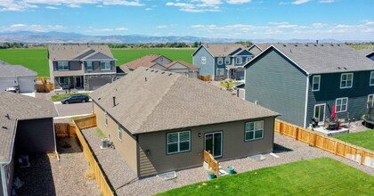 911 Camberly Dr in Windsor, CO - Building Photo - Building Photo