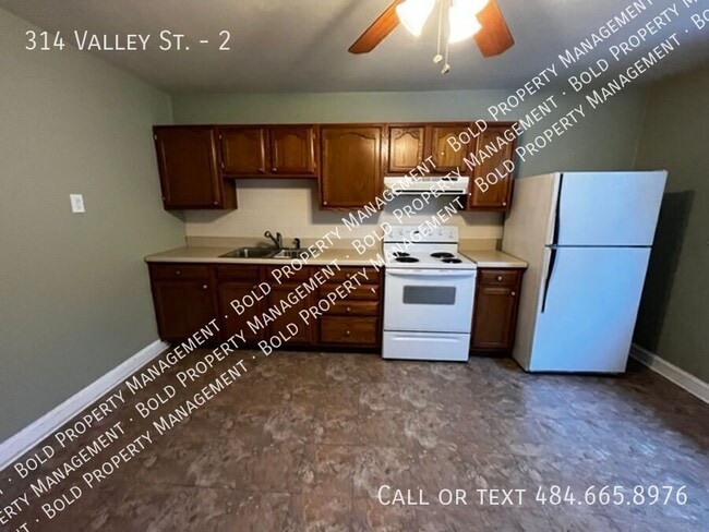 308-314 Valley St in Port Carbon, PA - Building Photo - Building Photo