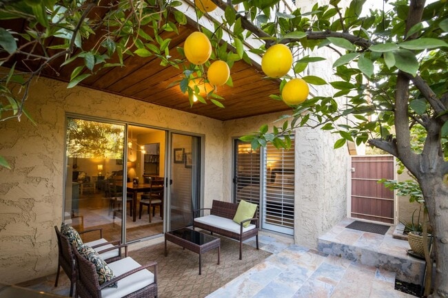4950 N Miller Rd, Unit #133 in Scottsdale, AZ - Building Photo - Building Photo
