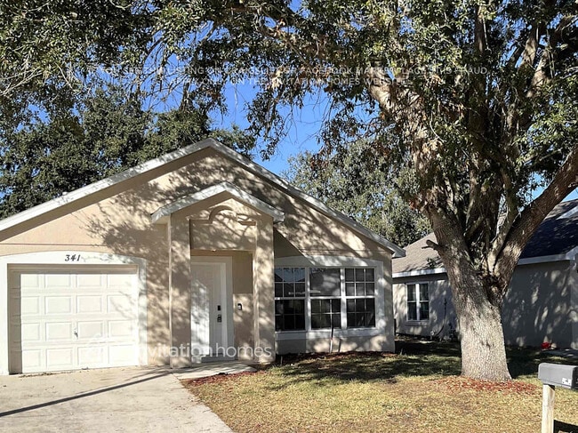 property at 341 Rollins Dr