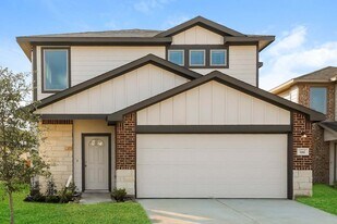 10810 Cloudless Ct in Cut And Shoot, TX - Building Photo