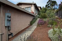 2165 Paradise Dr in Tiburon, CA - Foto de edificio - Building Photo