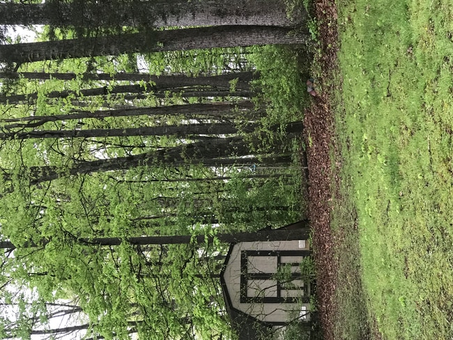 611 Herron Rd in Farragut, TN - Foto de edificio - Building Photo