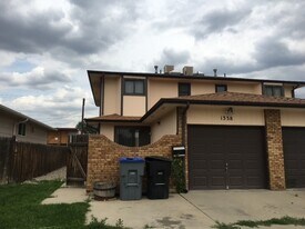 1338 Terry St in Longmont, CO - Building Photo