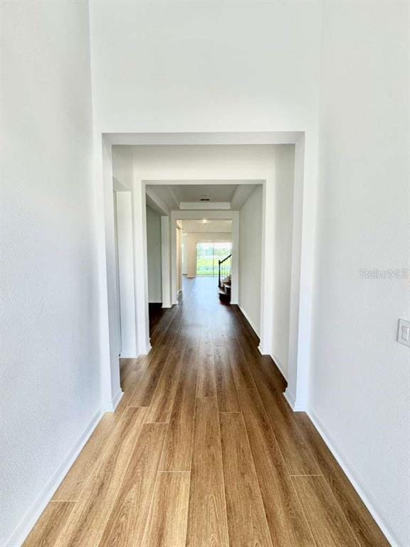 214 Woodfall Ln in Winter Garden, FL - Building Photo - Building Photo