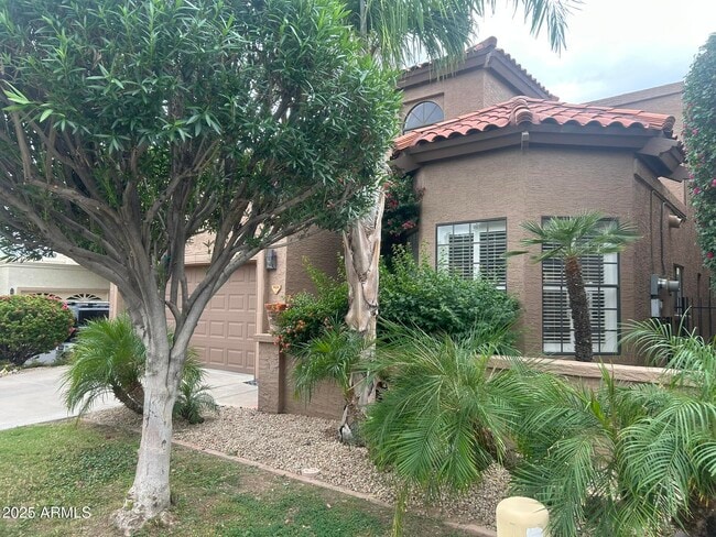 9424 N 105th St in Scottsdale, AZ - Foto de edificio - Building Photo