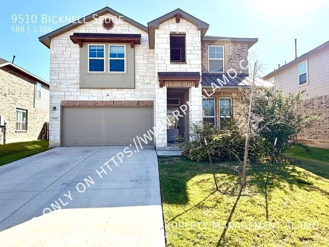 9510 Bicknell Sedge