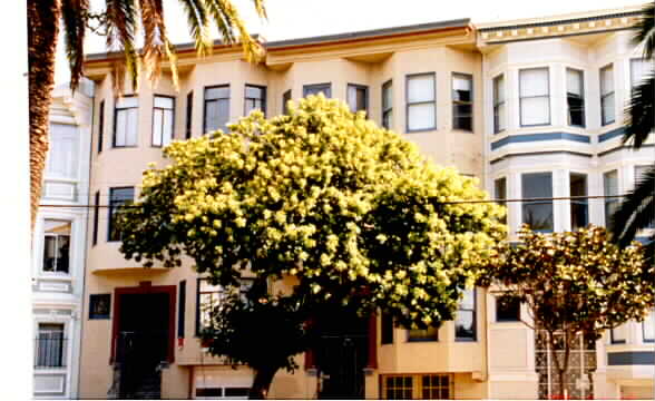 443-447 Dolores St in San Francisco, CA - Building Photo