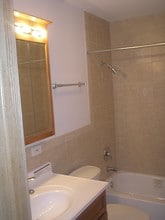 313 Elgin Ave, Unit 1 in Forest Park, IL - Building Photo - Building Photo