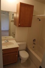 8101 Little Deer Crossing in Austin, TX - Building Photo - Building Photo