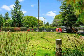 The Parc at Pruneyard in Campbell, CA - Foto de edificio - Building Photo