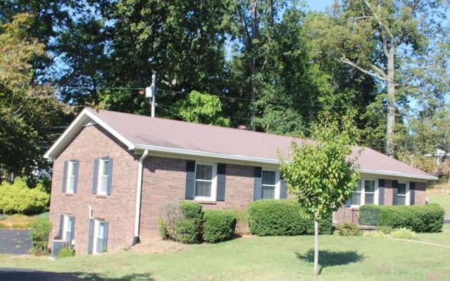 property at 113 Moss St