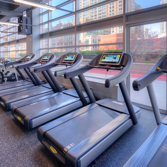 601 N State St, Unit 004005 in Chicago, IL - Building Photo - Building Photo