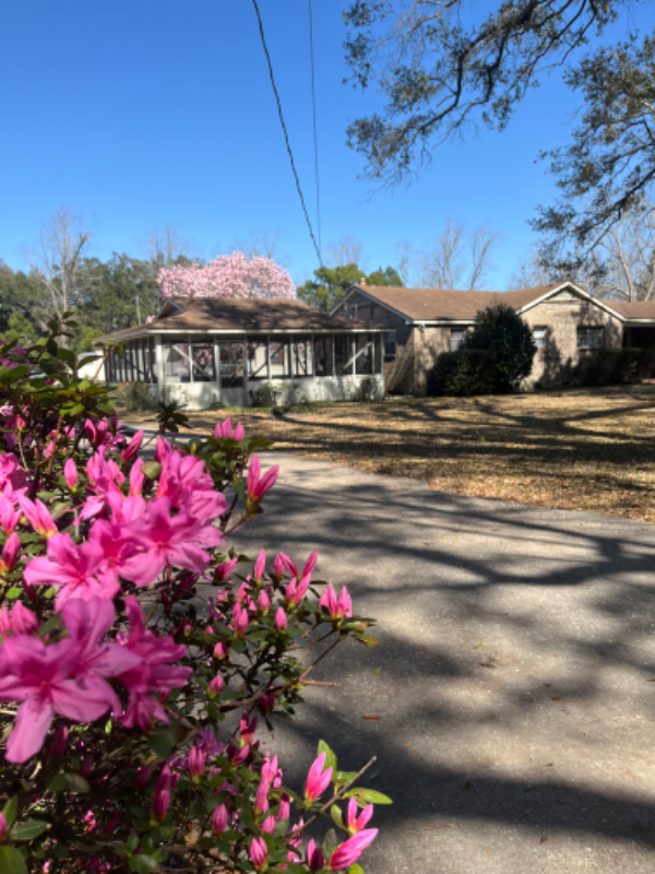 106 Oleander Dr in Pensacola, FL - Building Photo - Building Photo