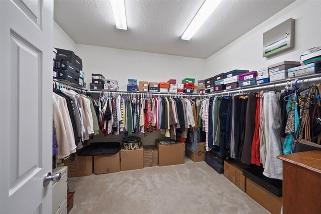 property at 10003 Cimarron Canyon Ln