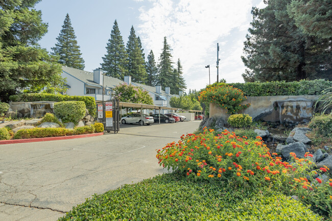 Riverfront Apartments in Sacramento, CA - Building Photo - Building Photo